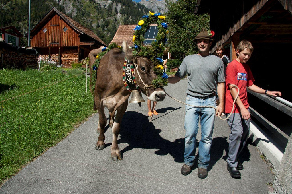 20110910-Alpabtrieb Spullers _69_.jpg