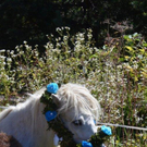 DSC_6655.jpg