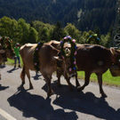 DSC_6716.jpg