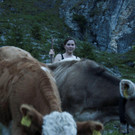 20110910-Alpabtrieb Spullers _1_.jpg
