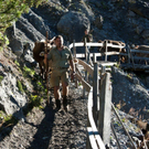 20110910-Alpabtrieb Spullers _15_.jpg