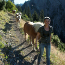 20110910-Alpabtrieb Spullers _3_.jpg