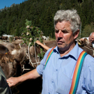 20110910-Alpabtrieb Spullers _52_.jpg