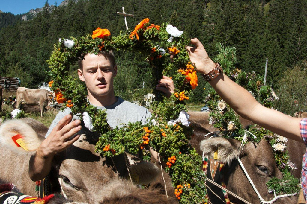 20110910-Alpabtrieb Spullers _55_.jpg