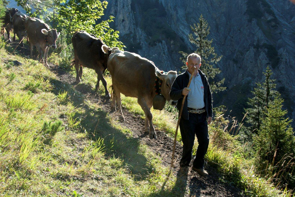 20110910-Alpabtrieb Spullers _6_.jpg