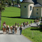 20110910-Alpabtrieb Spullers _62_.jpg