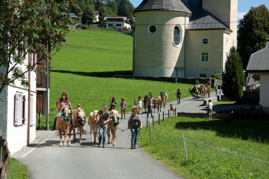 20110910-Alpabtrieb Spullers _62_.jpg