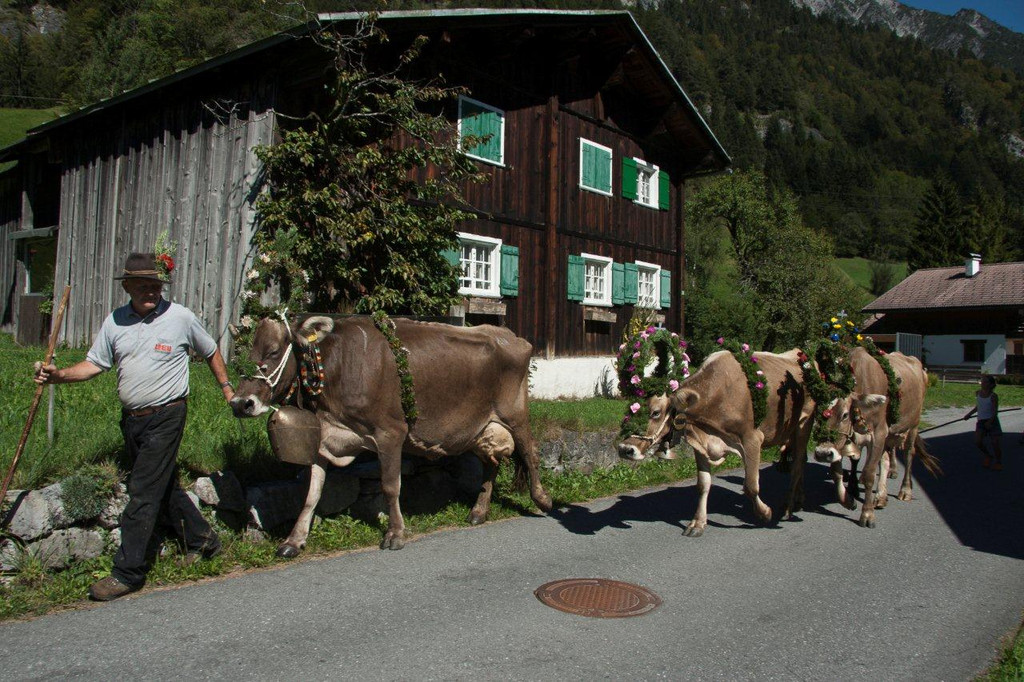 20110910-Alpabtrieb Spullers _68_.jpg