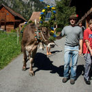 20110910-Alpabtrieb Spullers _69_.jpg