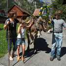 20110910-Alpabtrieb Spullers _70_.jpg