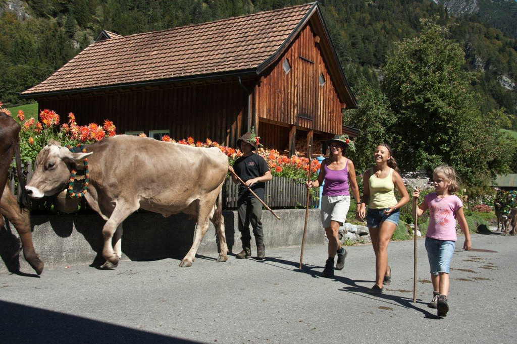 20110910-Alpabtrieb Spullers _75_.jpg