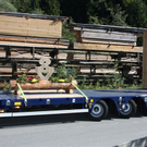 3_ Scania Treffen in Sulz 10_09_2011 028_jpg-1315841153