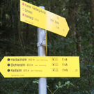normal_12092011mountaibikeffaktivnews_06.jpg