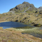 DSC03765_JPG-1315866790