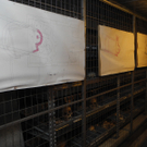 DSCN8055_JPG-1315882418