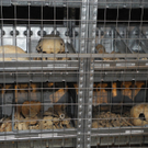 DSCN8058_JPG-1315882456