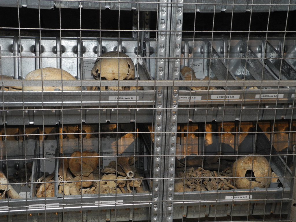 DSCN8058_JPG-1315882456