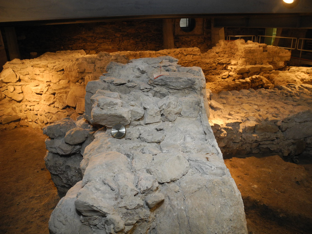 DSCN8059_JPG-1315882469