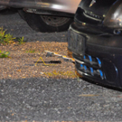 normal_12092011mordmbaktivnews020.jpg