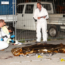 MordMitterberghuetten12091106.jpg