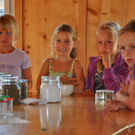 Kleine Bl__tenk__che im Brennesselbeet.JPG