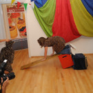 DSCN8553_JPG-1315900875