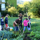 KOE_Kartoffelernte 18_jpg-1315908036