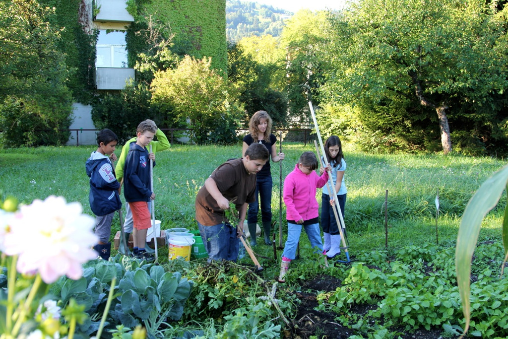 KOE_Kartoffelernte 18_jpg-1315908036
