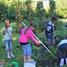 KOE_Kartoffelernte 22_jpg-1315908080