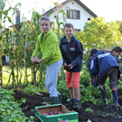 KOE_Kartoffelernte 27_jpg-1315908128