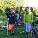 KOE_Kartoffelernte 32_jpg-1315908178