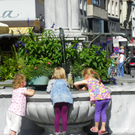 Bild 210_jpg-1315955211