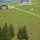P1090564_jpg-1315991089