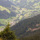 IMG_1189_jpg-1315995422