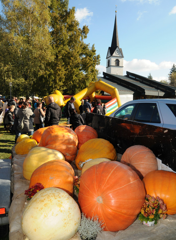 Markttag Fu__ach 236_jpg-1316015211