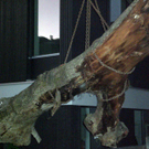webCIMG6776.JPG