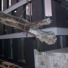 webCIMG6777.JPG