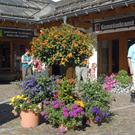Blumenschmuck