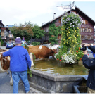DSC00910.JPG