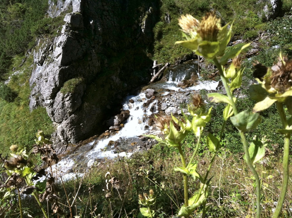 KOE_Wanderung Feiburger H__tte 13_jpg-1316112033