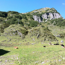 KOE_Wanderung Feiburger H__tte 20_jpg-1316112097