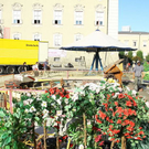 normal_16092011fmt_rupertiaufbau_mw_010.jpg