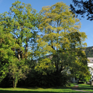 Park Kennelbach 16_09_2011 1_jpg-1316172659