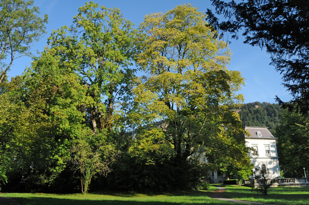 Park Kennelbach 16_09_2011 1_jpg-1316172659