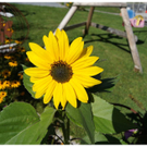 DSC01217.JPG