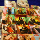 normal_16092011fmt_erotikmesse_ta_017.jpg