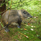 bogenschiessen5_JPG-1316250121