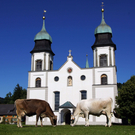1_jpg-1316253622