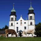 1b_jpg-1316253636