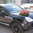 DSC04399.JPG